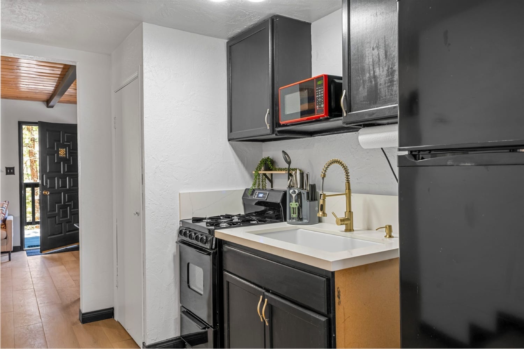 Studio Suite kitchen and entry